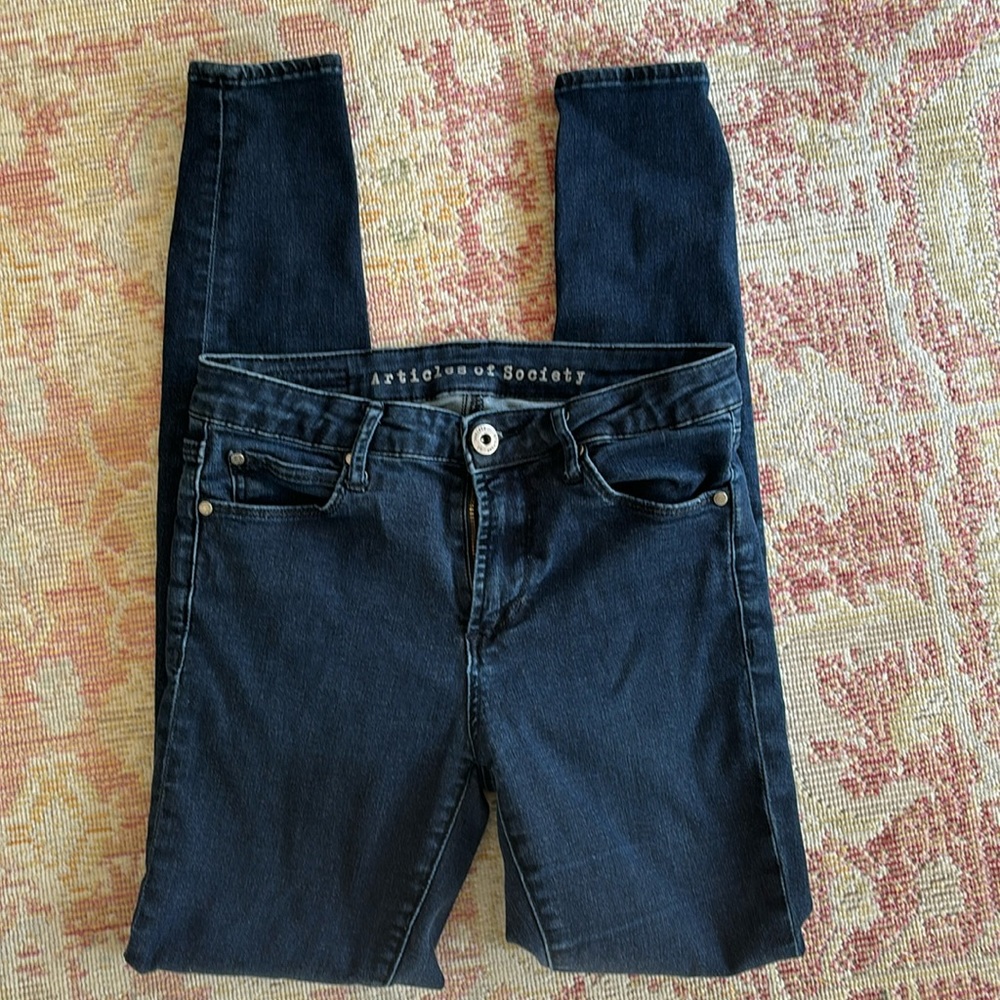 Articles of Society Skinny Jeans